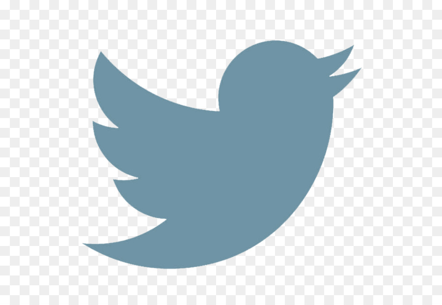 Burung Hitam，Twitter PNG