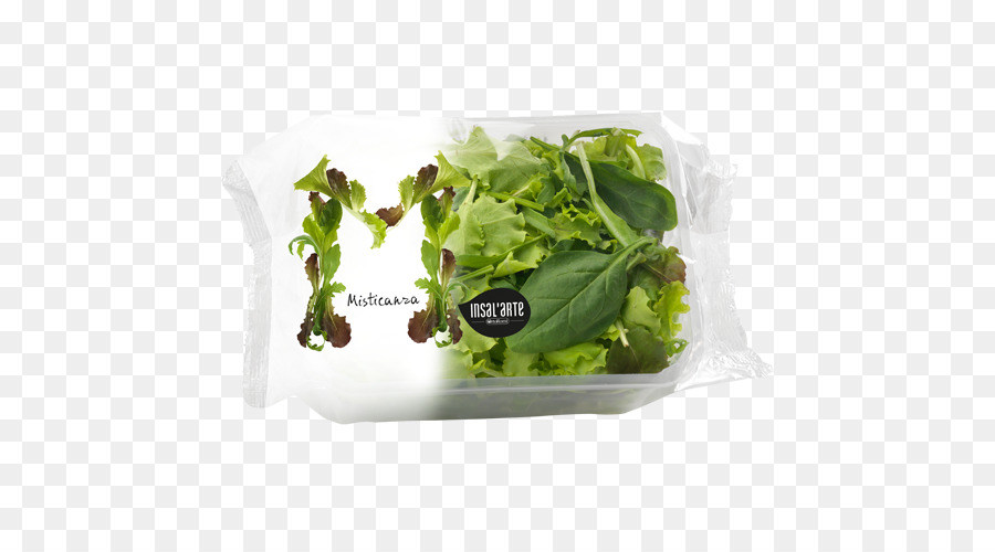 Selada Romaine，Caesar Salad PNG