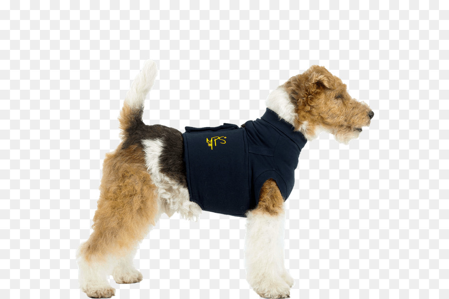 Kawat Rambut Fox Terrier，Tshirt PNG