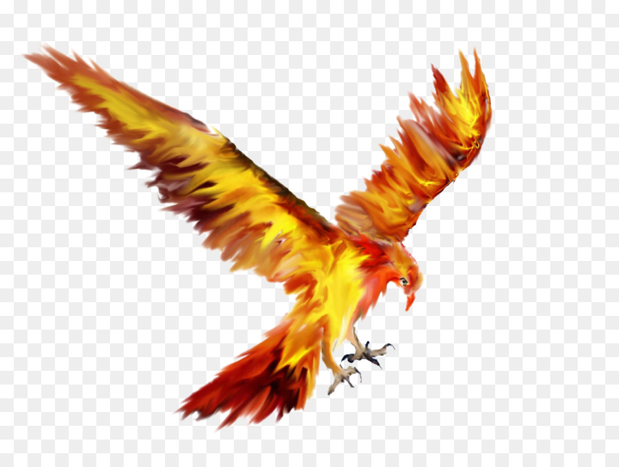 740 Gambar Sketsa Burung Phoenix Gratis