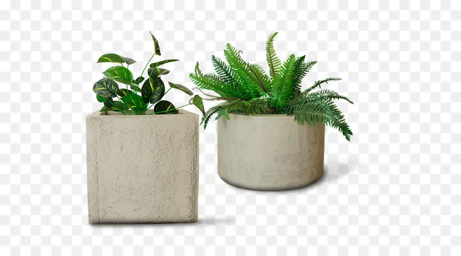 Pot Bunga，Houseplant PNG