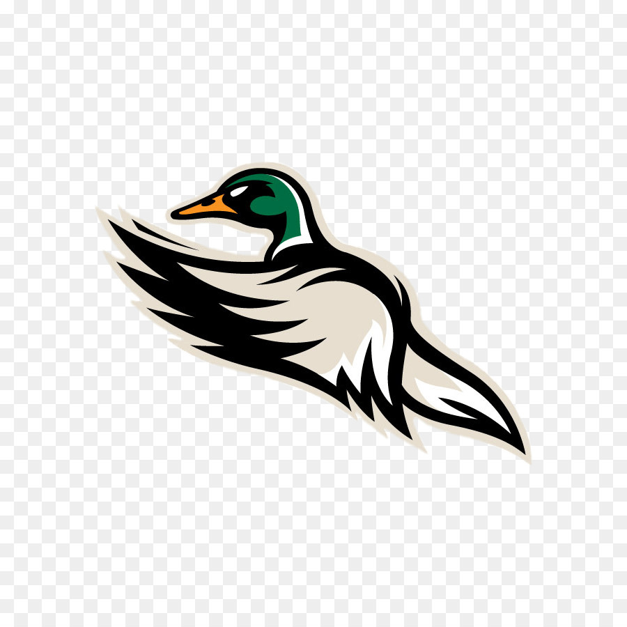 Mallards Quad City，Echl PNG