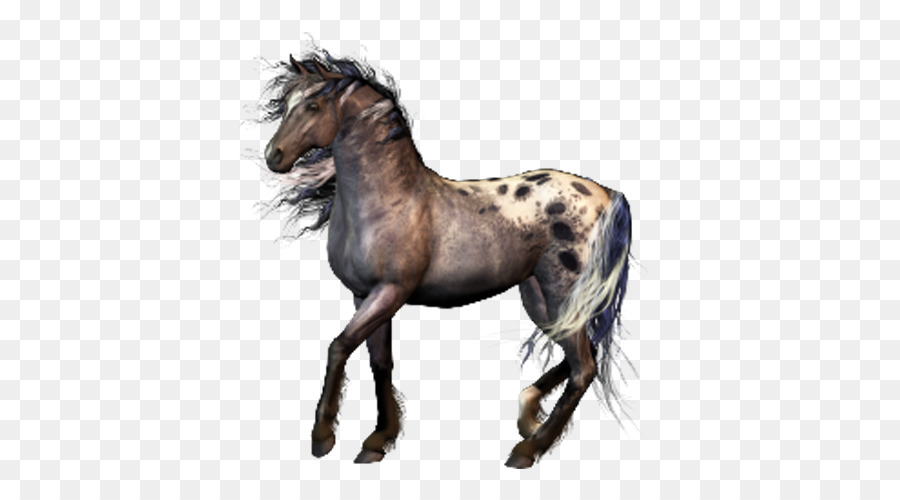 Mustang，Liar Appaloosa PNG