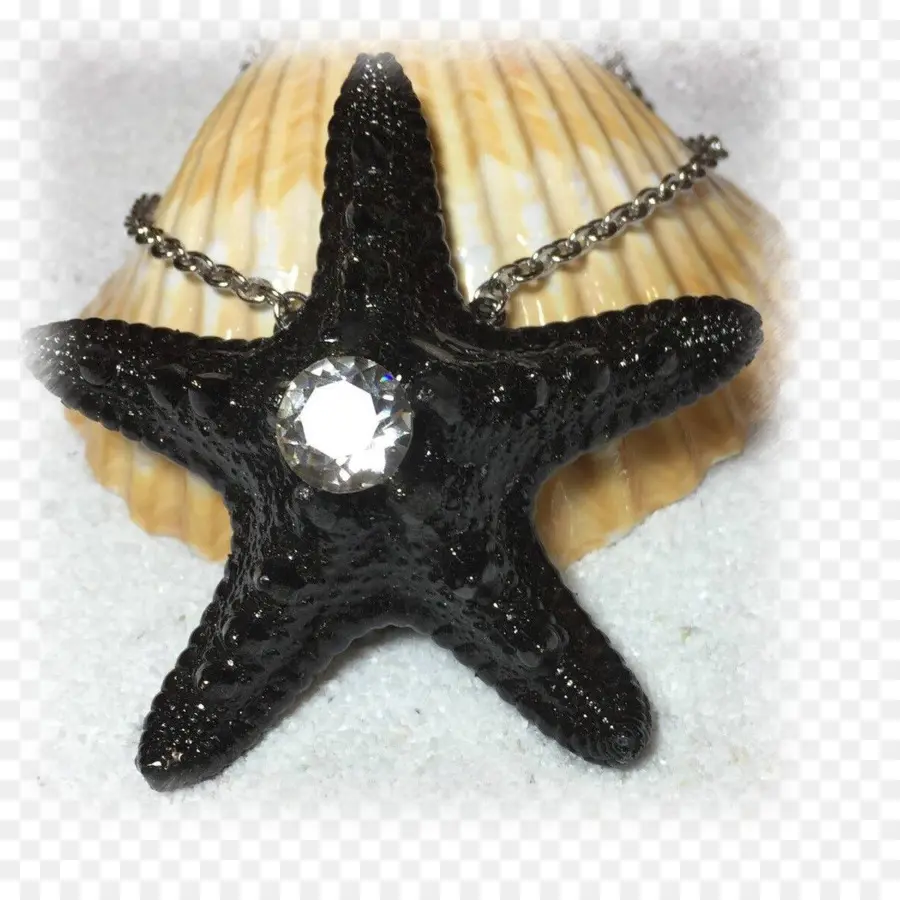 Bintang Laut，Invertebrata PNG