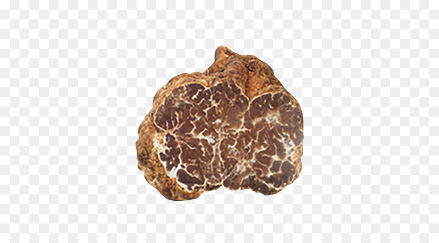 Truffle，Jamur PNG