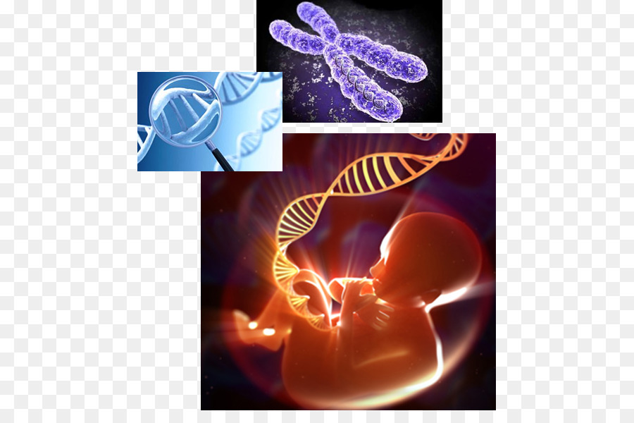 Ген геном генетические аппараты. Генетика. Ген и генетика. Геном человека. Генетика картинки.