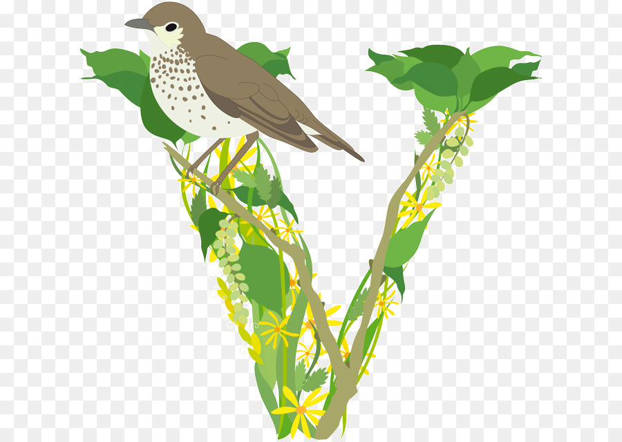 Flora，Fauna PNG