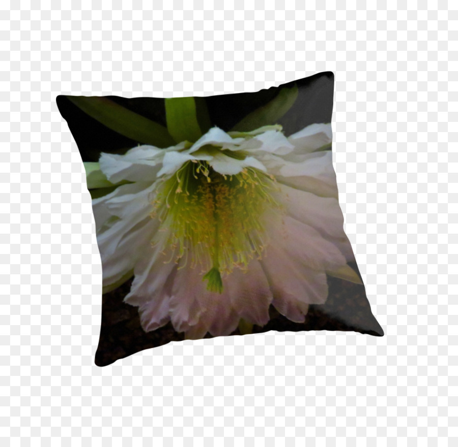 Bantal， PNG