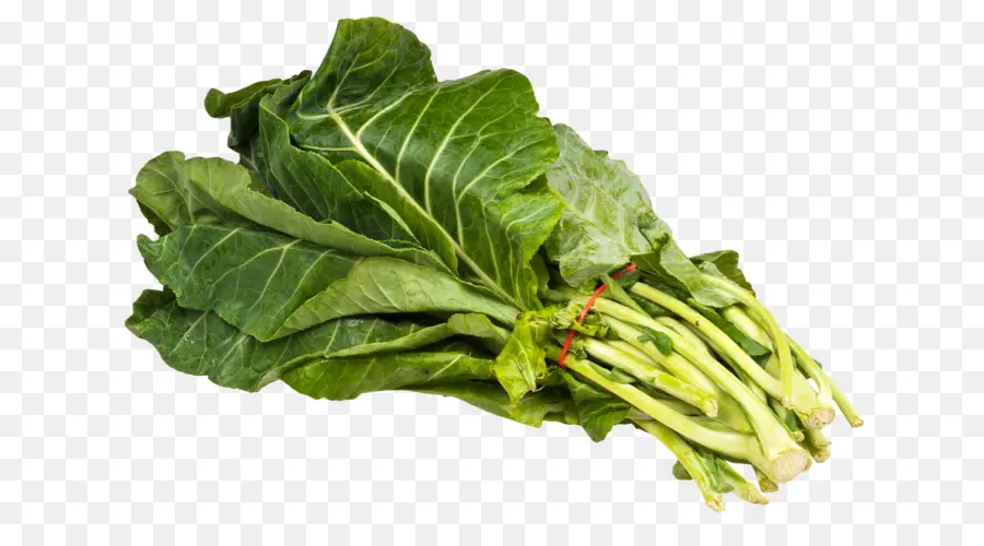 Bok Choy，Hijau PNG