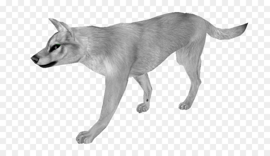 Saarloos Wolfdog，Cekoslowakia Wolfdog PNG