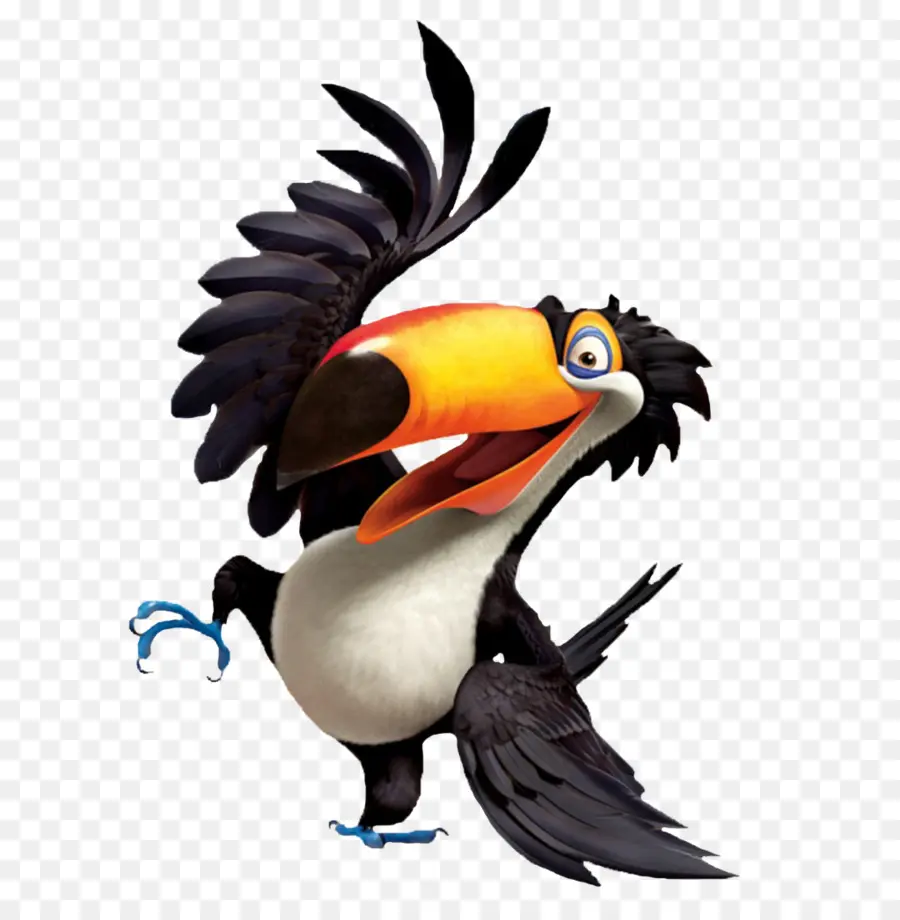 Burung Toucan，Paruh PNG