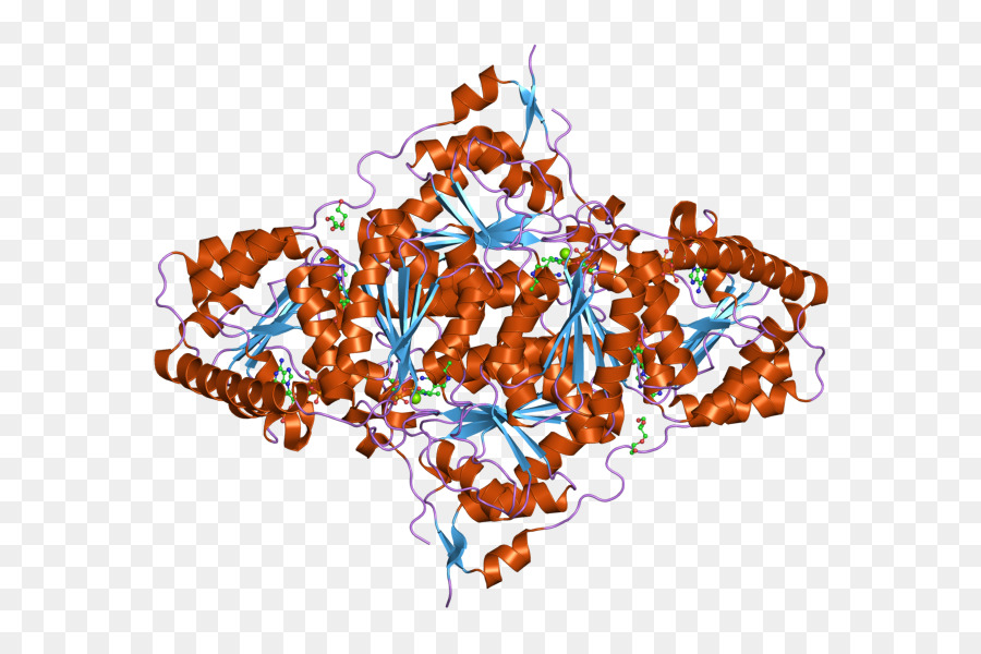 Struktur Protein，Molekul PNG