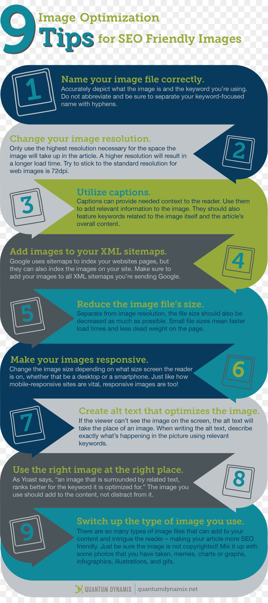 Infografis Tips Seo，Seo PNG