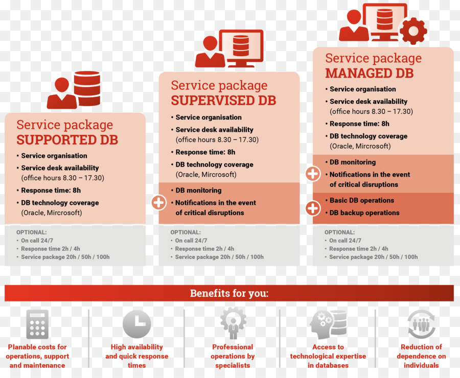 Infografis Paket Layanan，Melayani PNG