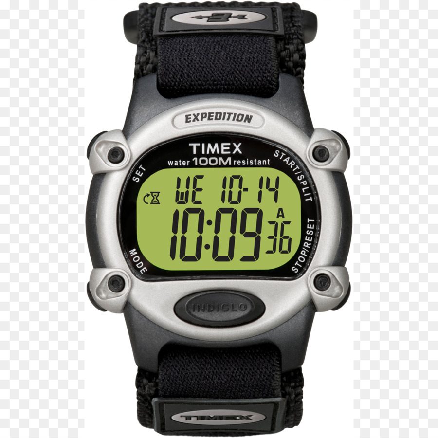 Timex Kelompok Usa Inc，Watch PNG