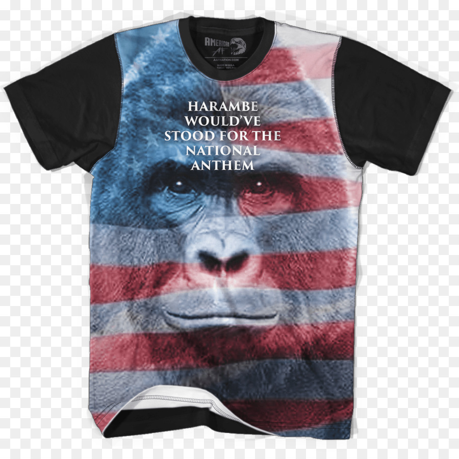 Tshirt，Amerika Serikat PNG