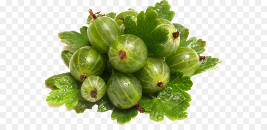 Gooseberry，Hijau PNG