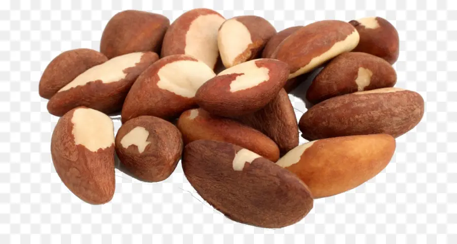 Kacang Brazil，Kacang PNG