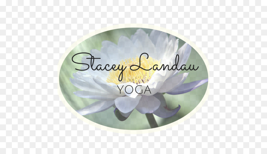 Landau Stacey，Yoga PNG