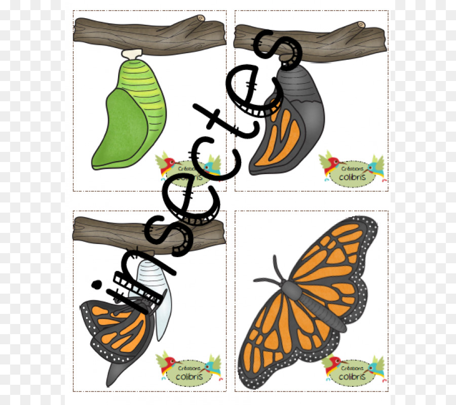 Kupu Kupu Monarch，Brushfooted Kupu Kupu PNG