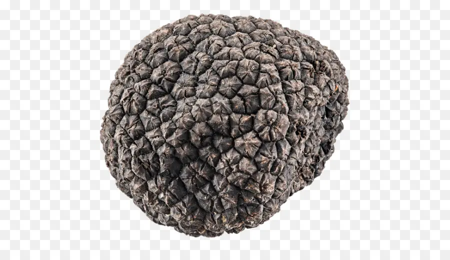 Truffle Hitam，Truffle PNG