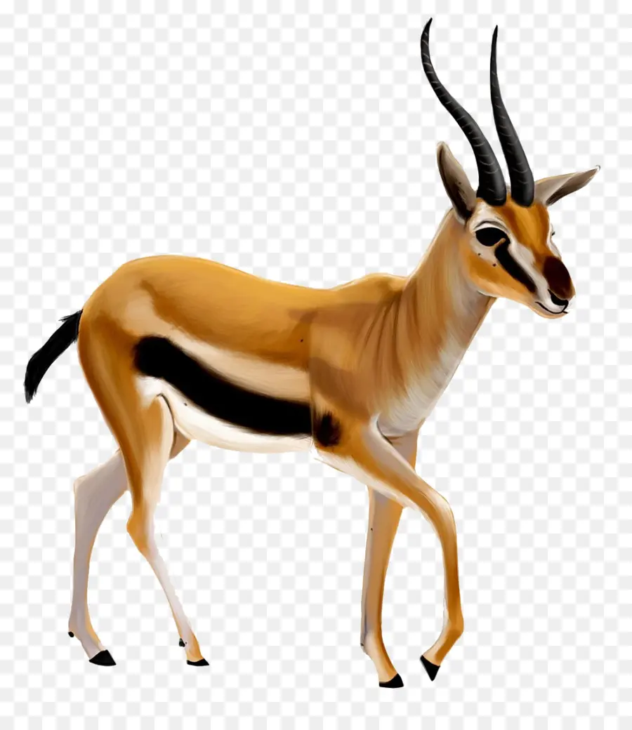 Gazelle，Kijang PNG