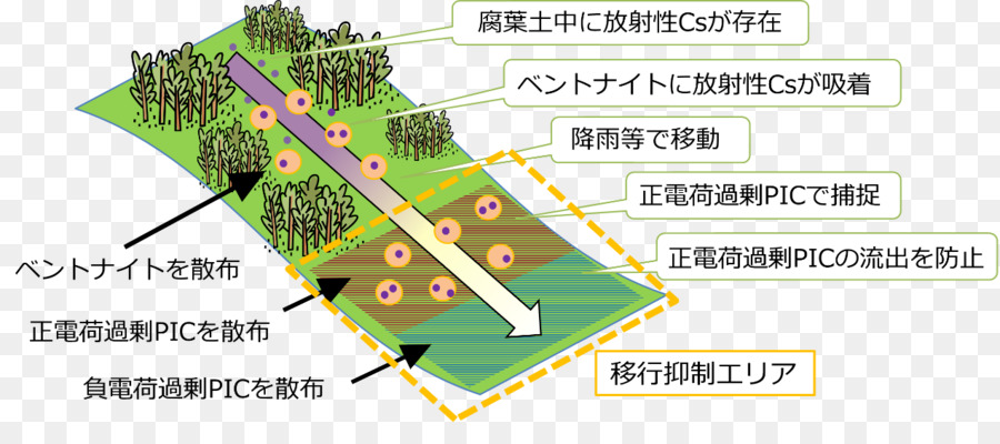 Bencana Nuklir Fukushima Daiichi，Ekosistem PNG