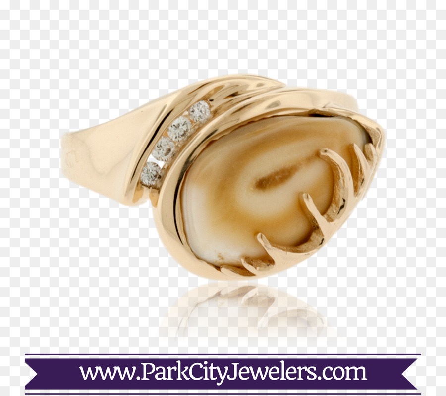 Cincin，Elk PNG