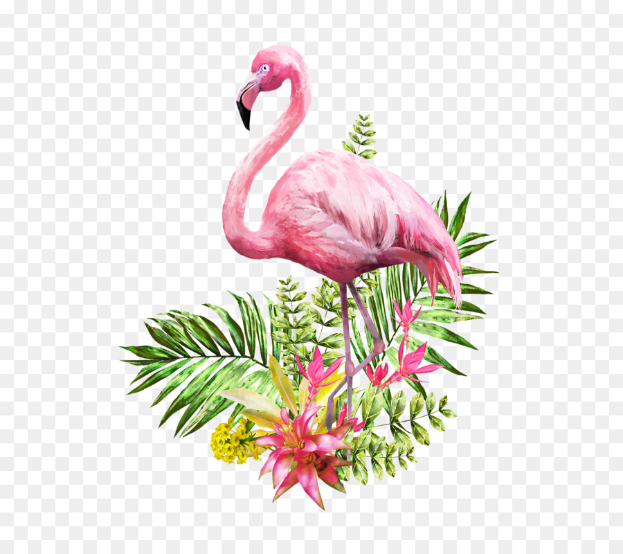 25 Trend Terbaru Gambar Lukisan Burung Flamingo  Jajas Blogs