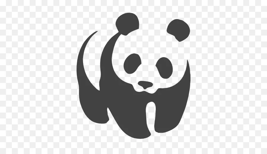 Panda，Beruang PNG