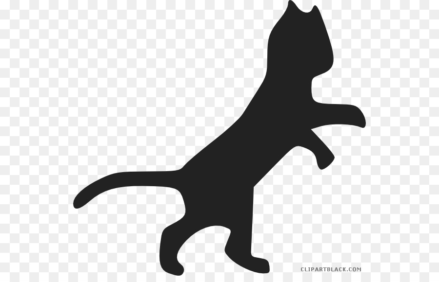 Kucing，Dogcat Hubungan PNG