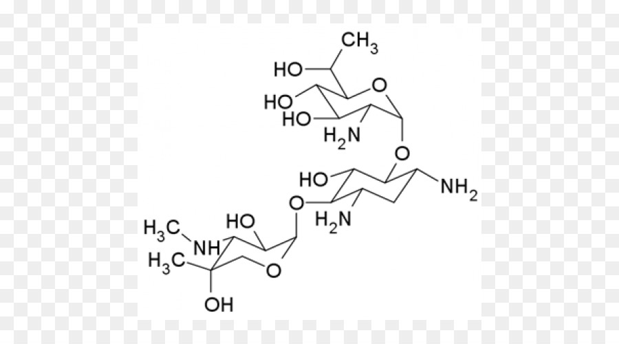 G418，Neomycin PNG