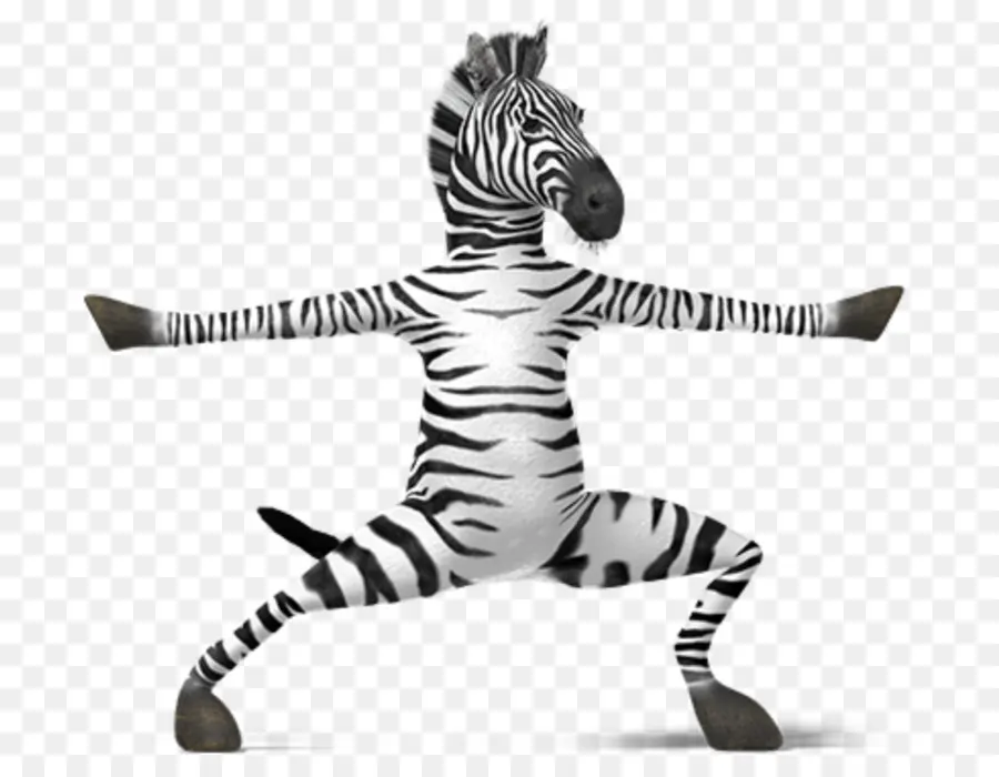 Singa，Zebra PNG