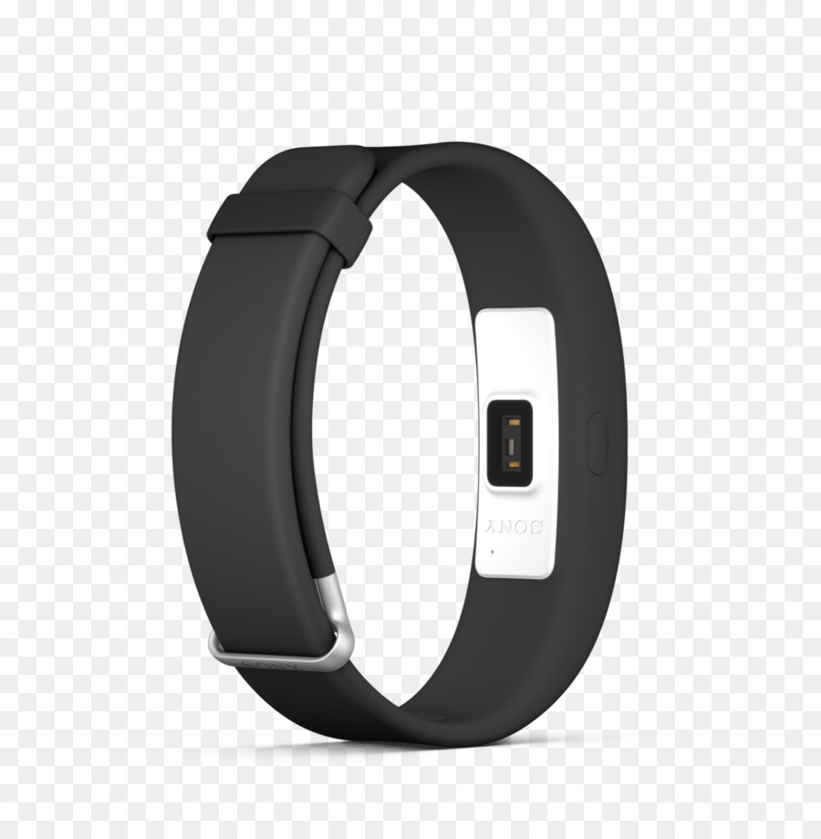 Fitbit，Kegiatan Monitor PNG