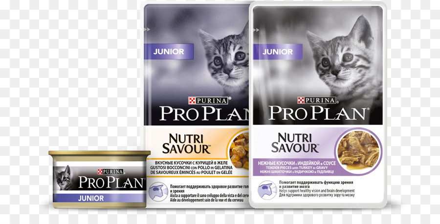 Kucing，Proplan Kucing Kaps Junior Turki 24x85g PNG