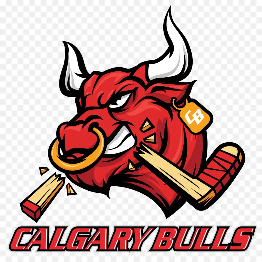 Logo Calgary Bulls，Olahraga PNG