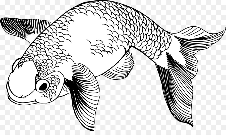 Ikan，Koi PNG