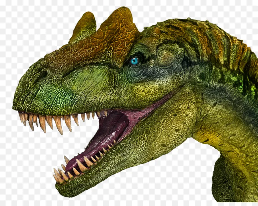 T Rex，Gigi PNG