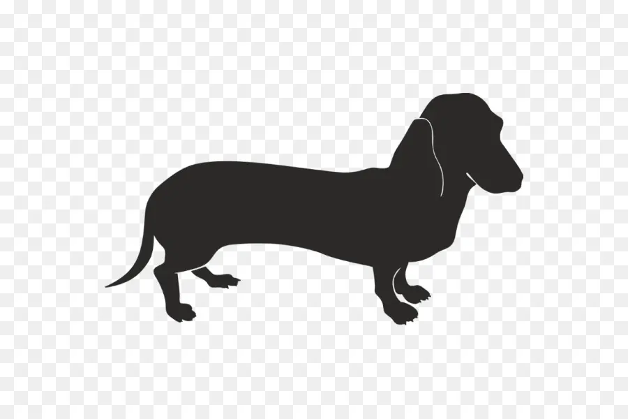 Siluet Dachshund，Anjing PNG