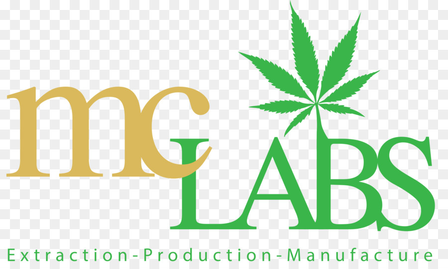 Logo，Daun PNG