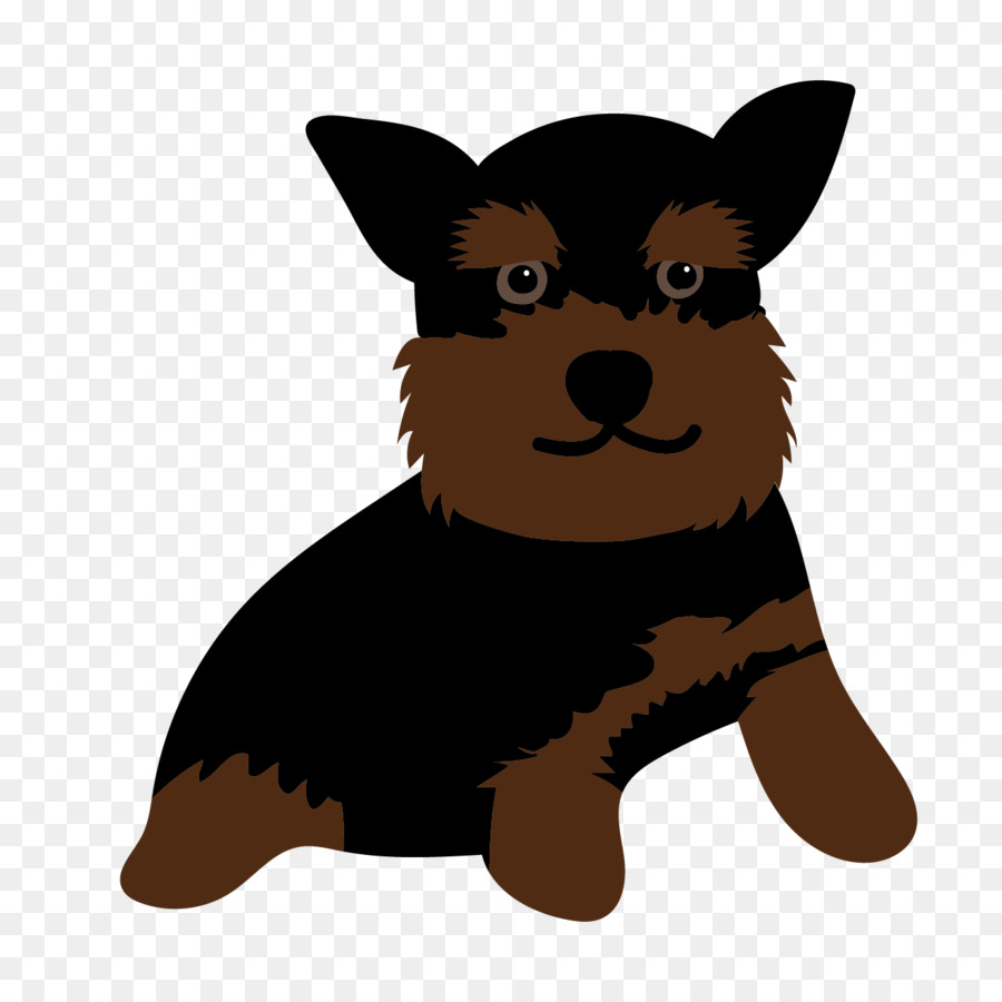 Anjing，Yorkshire Terrier PNG