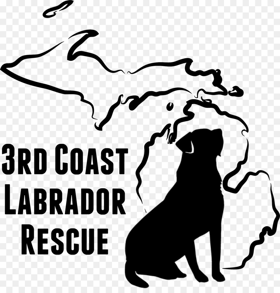 Labrador Retriever，Holiday Inn Di Big Rapids PNG