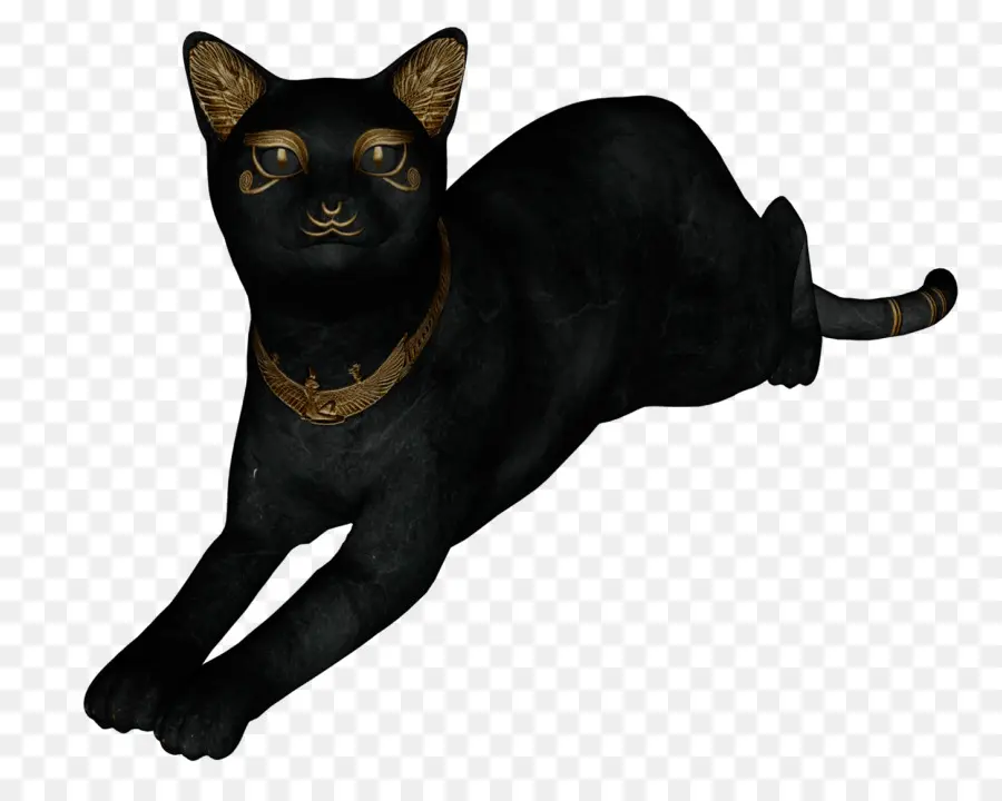 Kucing Hitam，Kucing PNG