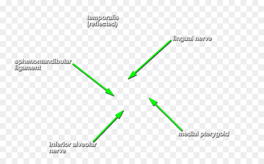 Diagram，Hijau PNG