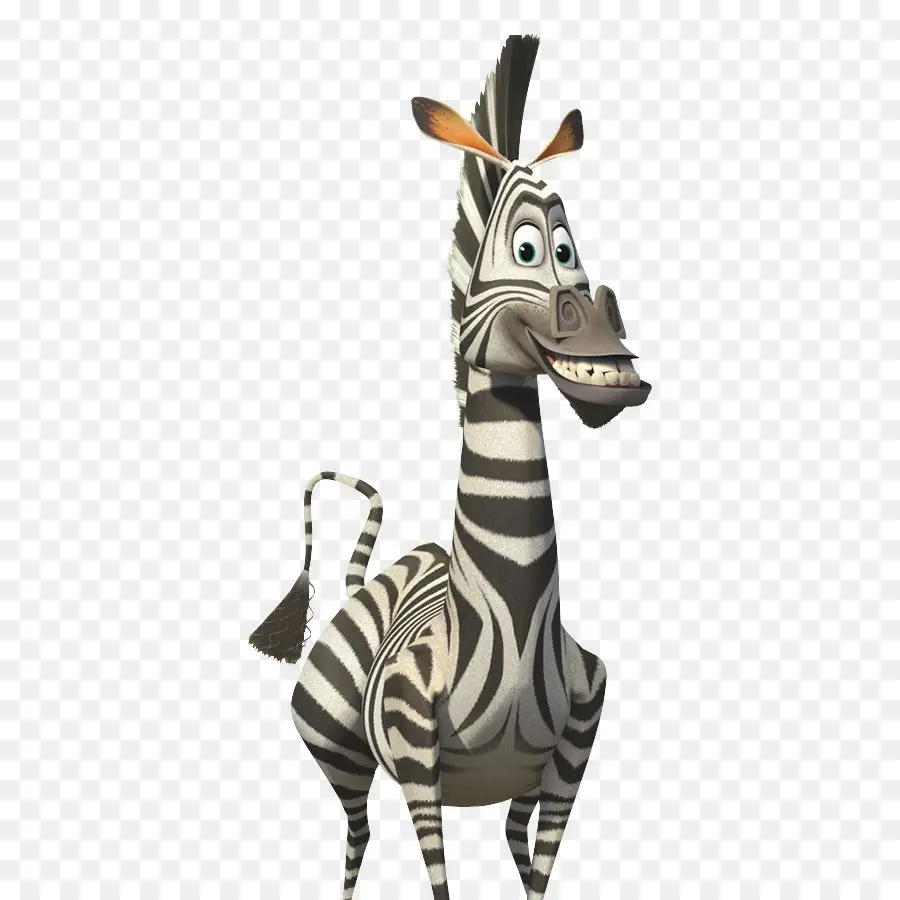 Zebra，Kartun PNG