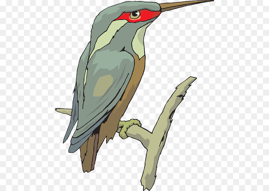 Gambar Lukisan Burung Raja Udang