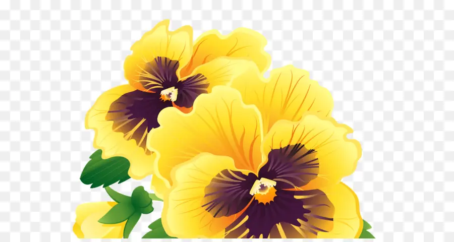 Bunga Kuning，Pansy PNG