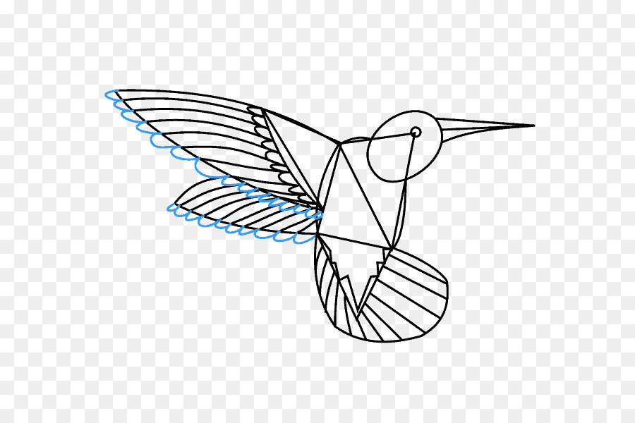 Burung Geometris，Garis PNG