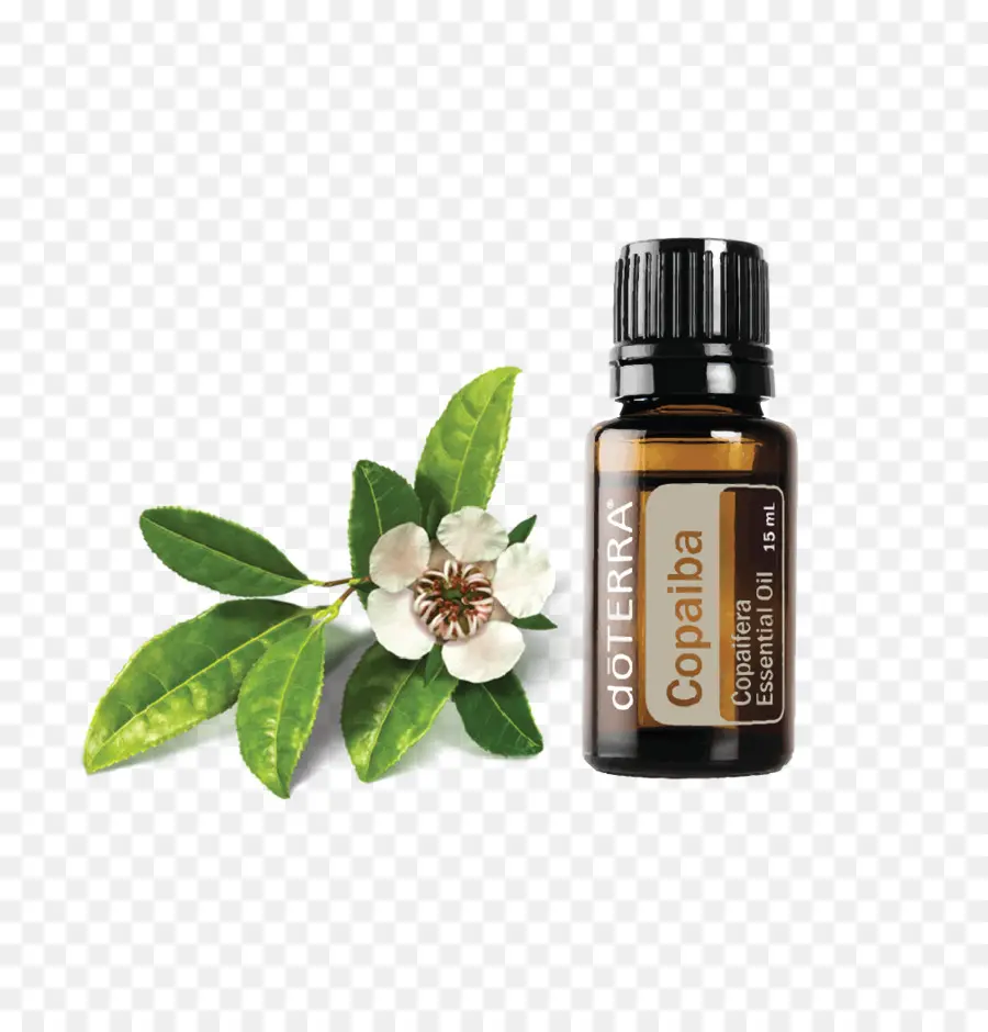 Minyak Doterra Copaiba，Minyak Atsiri PNG