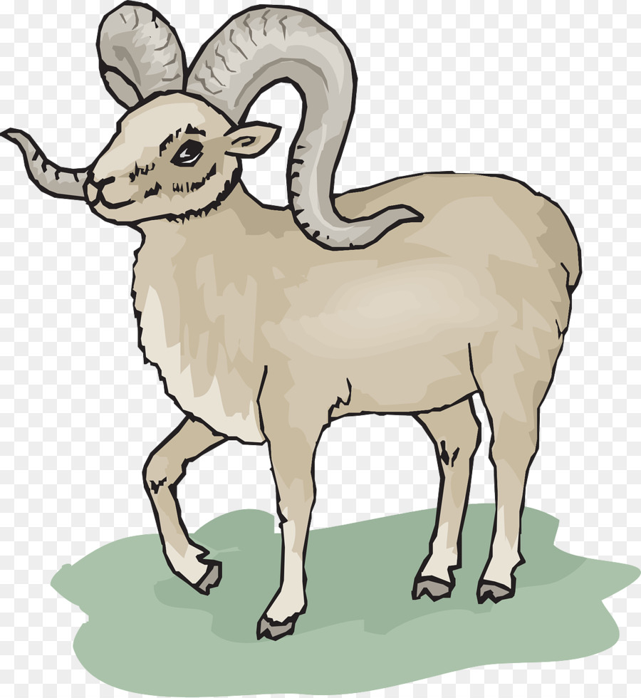 Domba，Bighorn Domba PNG